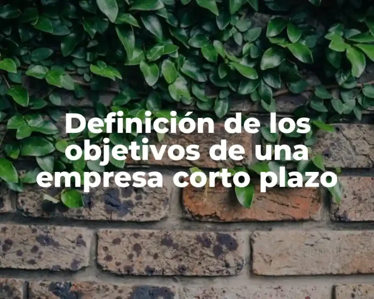 Definición de los objetivos de una empresa corto plazo