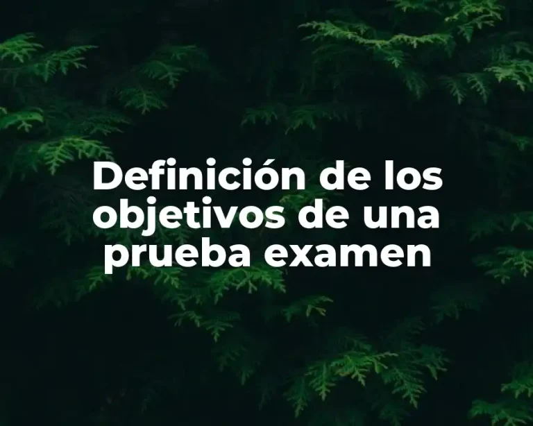Definición de los objetivos de una prueba examen