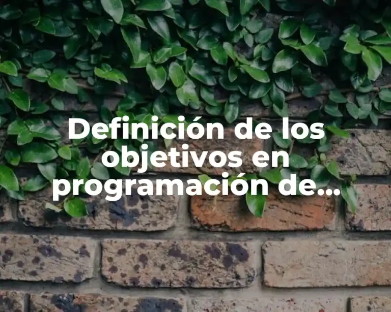 Definición de los objetivos en programación de videojuegos