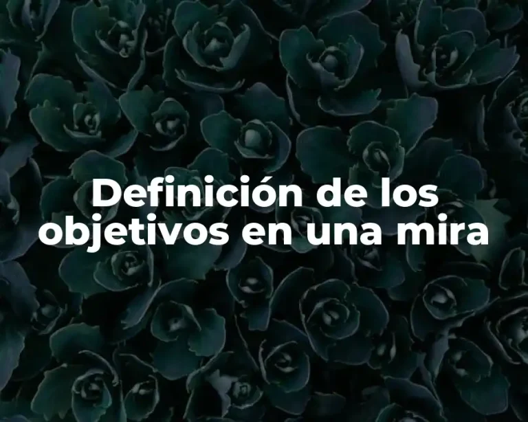 Definición de los objetivos en una mira