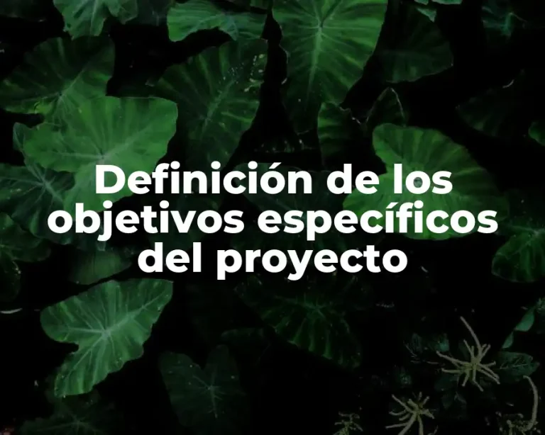 Definición de los objetivos específicos del proyecto