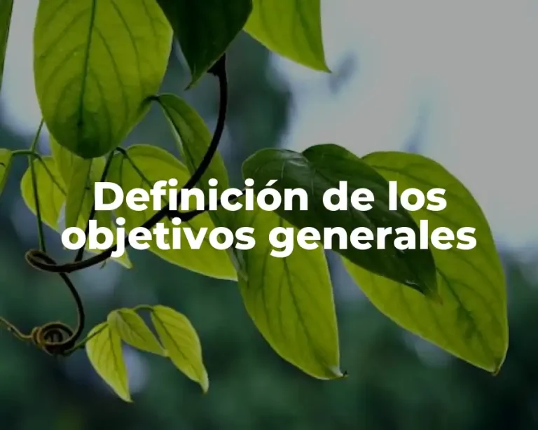 Definición de los objetivos generales