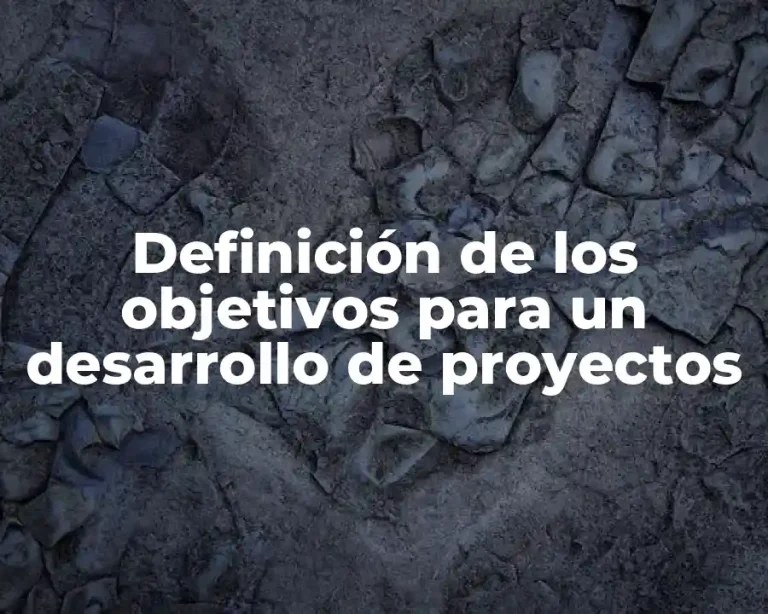 Definición de los objetivos para un desarrollo de proyectos
