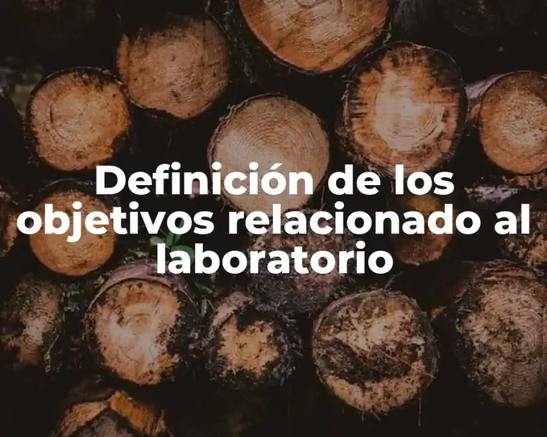 Definición de los objetivos relacionado al laboratorio