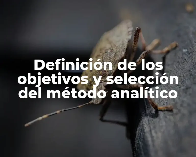 Definición de los objetivos y selección del método analítico
