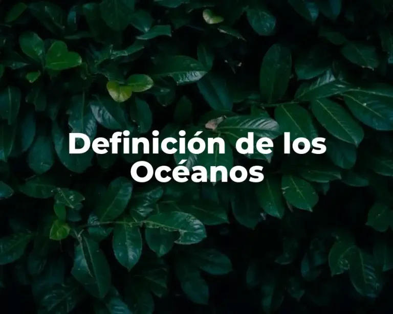 Definición de los Océanos
