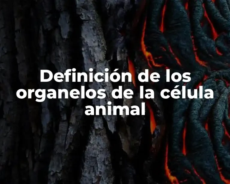 Definición de los organelos de la célula animal