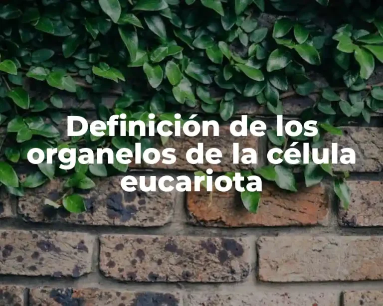 Definición de los organelos de la célula eucariota