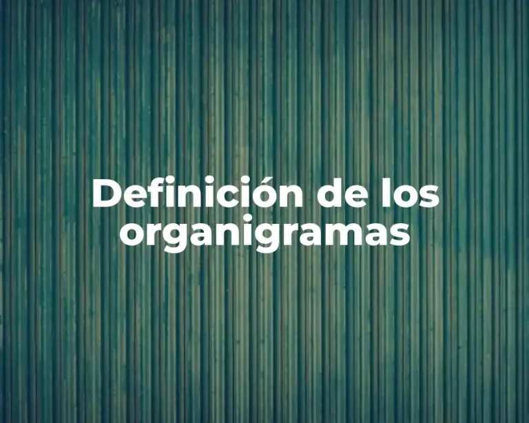 Definición de los organigramas