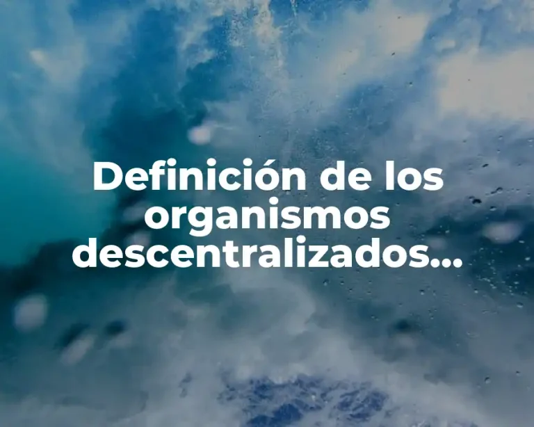 Definición de los organismos descentralizados municipales del estado de Tlaxcala