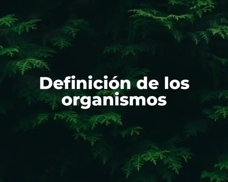 Definición de los organismos