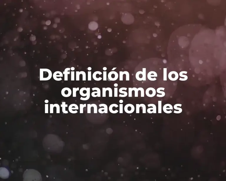 Definición de los organismos internacionales
