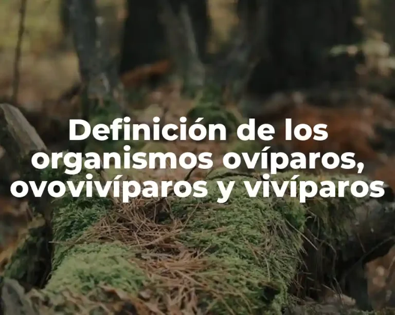 Definición de los organismos ovíparos, ovovivíparos y vivíparos