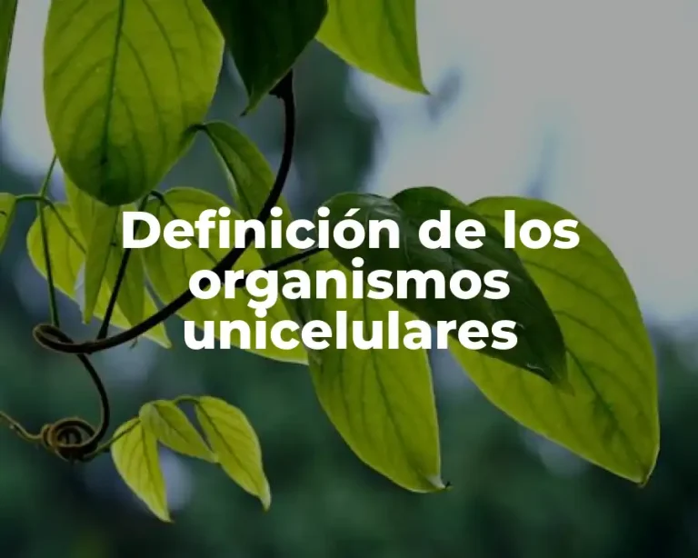Definición de los organismos unicelulares