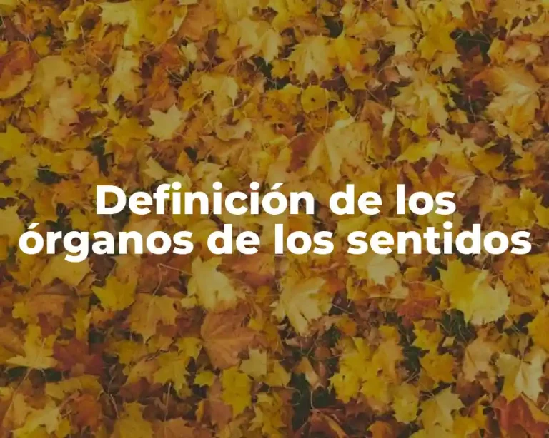 Definición de los órganos de los sentidos