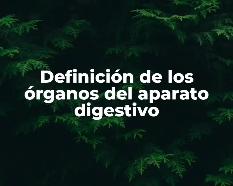 Definición de los órganos del aparato digestivo