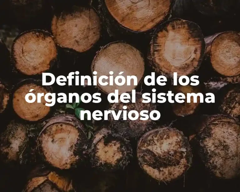 Definición de los órganos del sistema nervioso