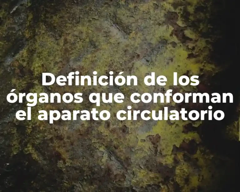 Definición de los órganos que conforman el aparato circulatorio