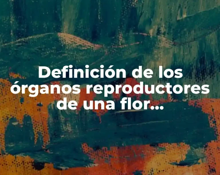Definición de los órganos reproductores de una flor hermafrodita