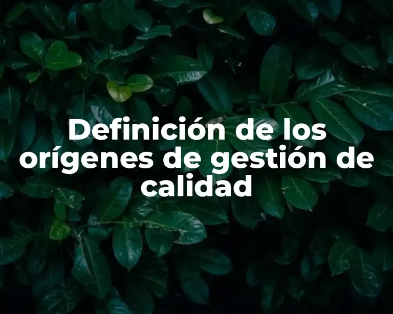 Definición de los orígenes de gestión de calidad