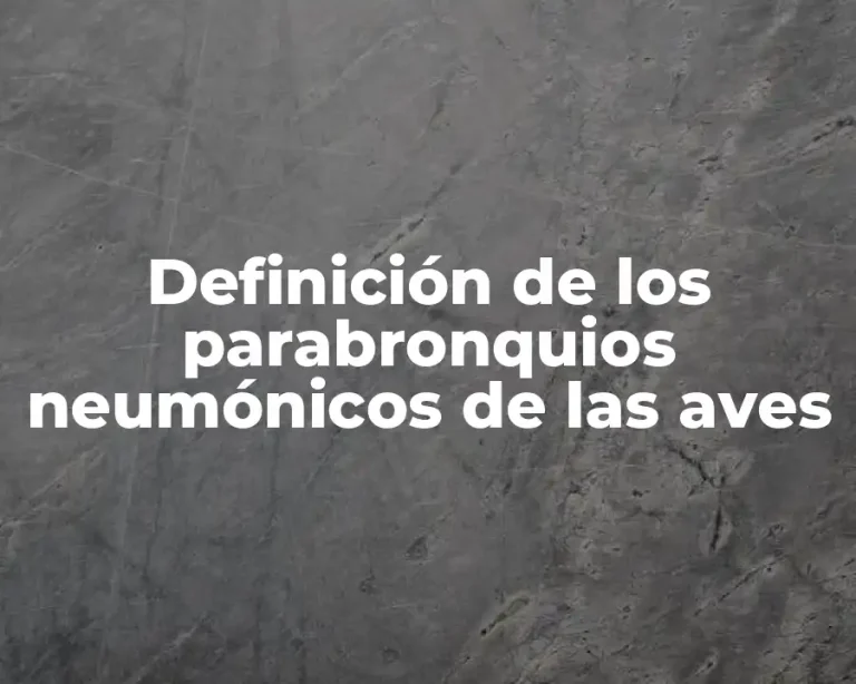 Definición de los parabronquios neumónicos de las aves