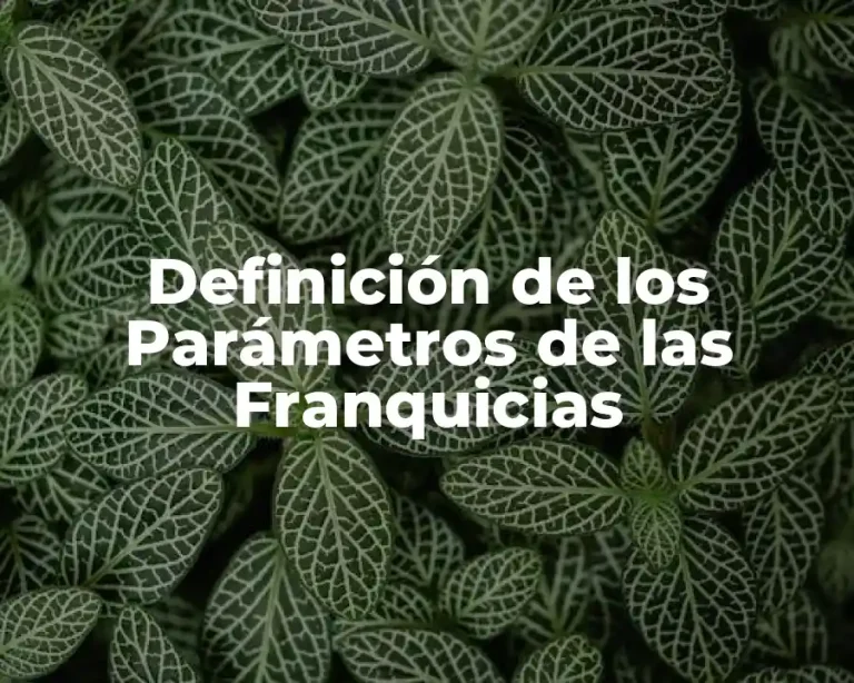 Definición de los Parámetros de las Franquicias