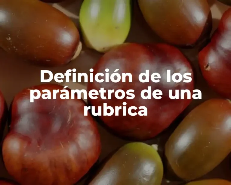 Definición de los parámetros de una rubrica