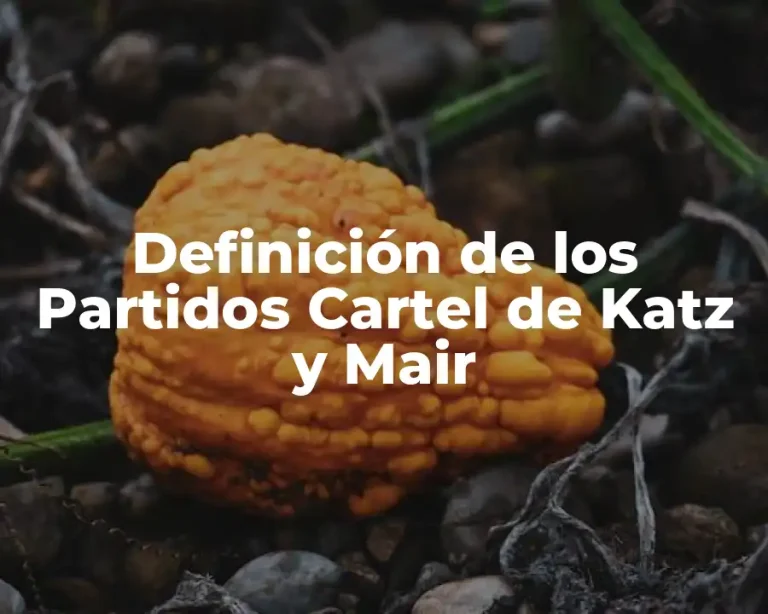 Definición de los Partidos Cartel de Katz y Mair
