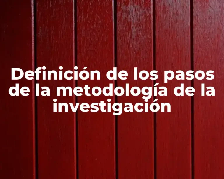 Definición de los pasos de la metodología de la investigación