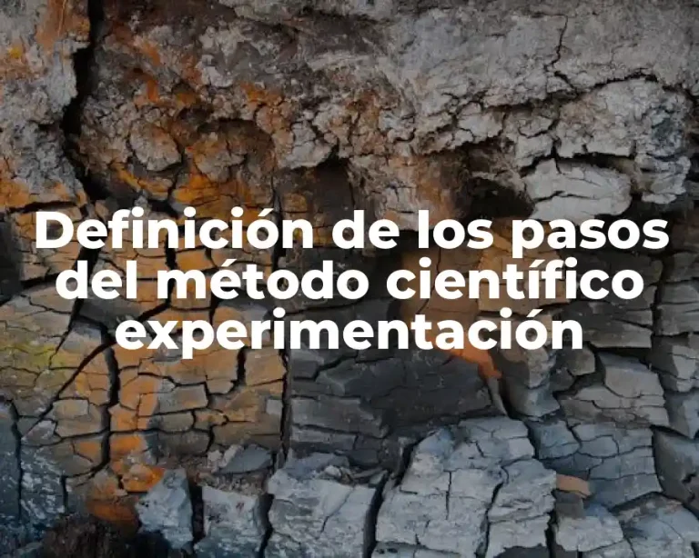 Definición de los pasos del método científico experimentación