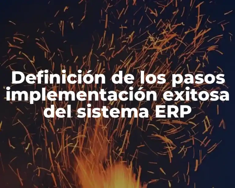 Definición de los pasos implementación exitosa del sistema ERP