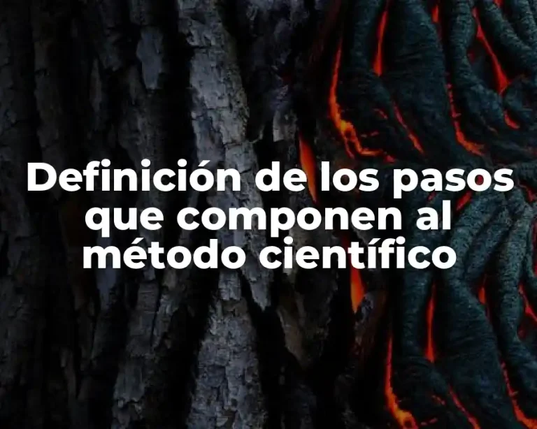 Definición de los pasos que componen al método científico