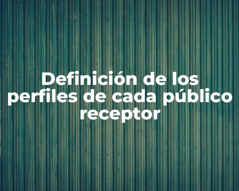 Definición de los perfiles de cada público receptor