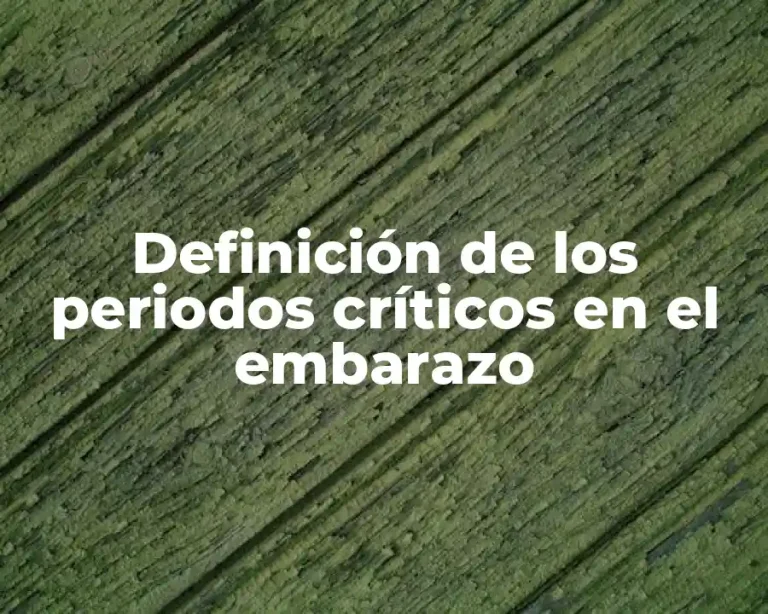Definición de los periodos críticos en el embarazo