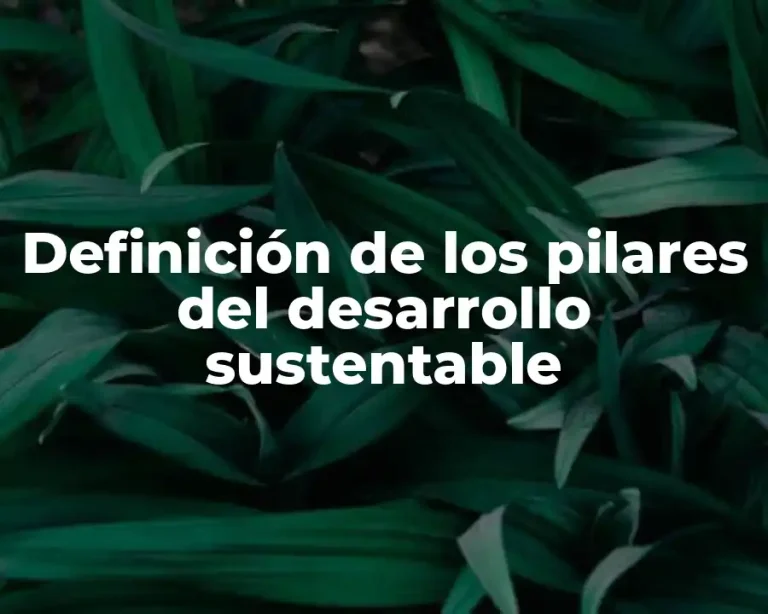 Definición de los pilares del desarrollo sustentable