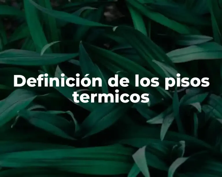 Definición de los pisos termicos