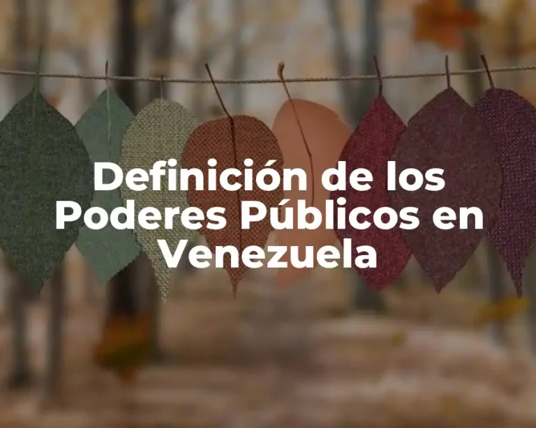 Definición de los Poderes Públicos en Venezuela