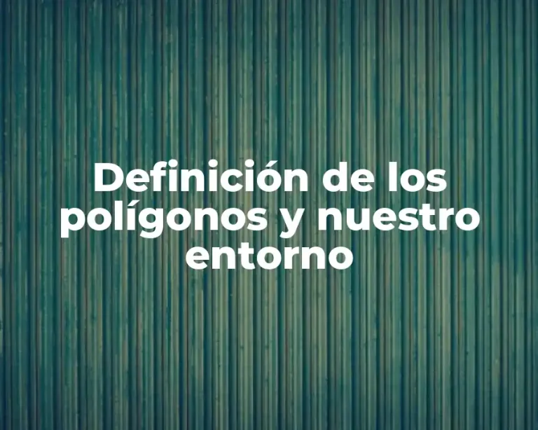 Definición de los polígonos y nuestro entorno