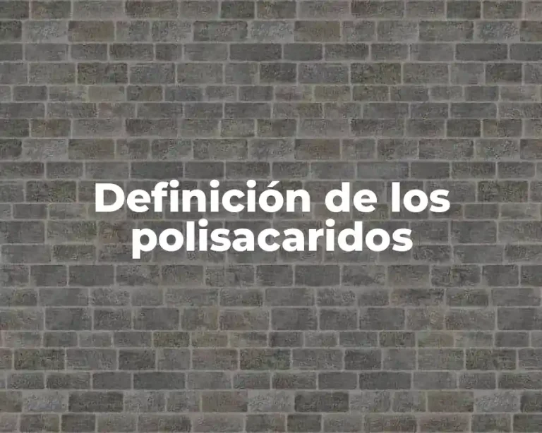 Definición de los polisacaridos