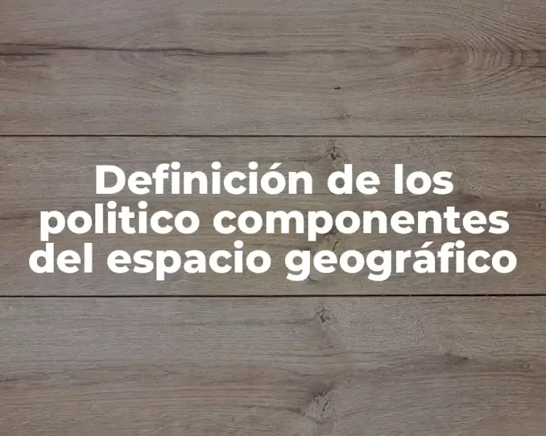 Definición de los politico componentes del espacio geográfico