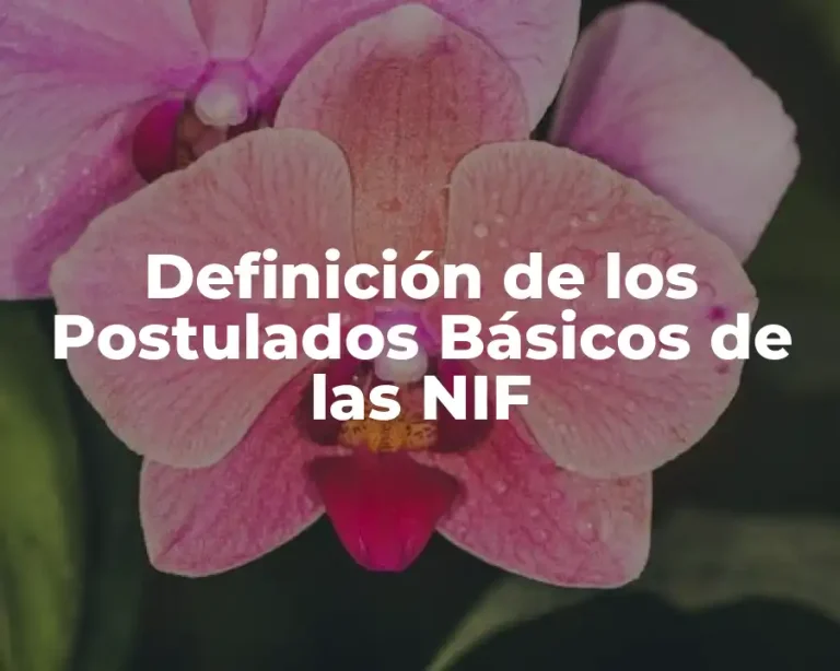 Definición de los Postulados Básicos de las NIF