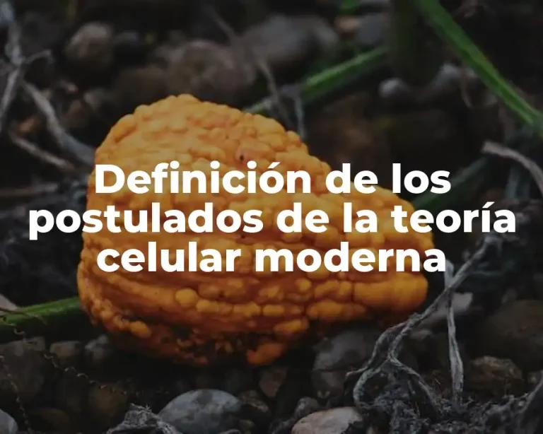 Definición de los postulados de la teoría celular moderna