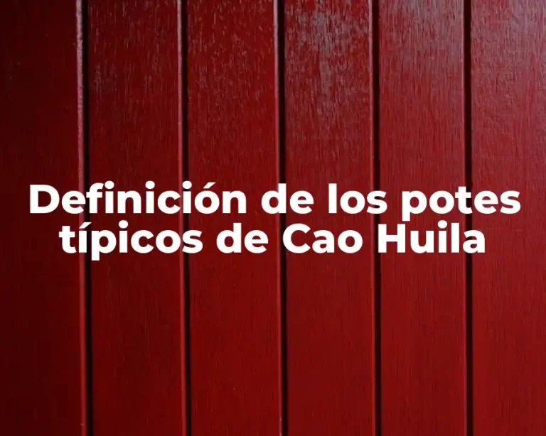 Definición de los potes típicos de Cao Huila