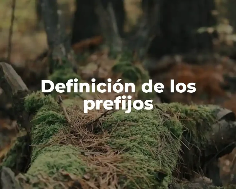 Definición de los prefijos