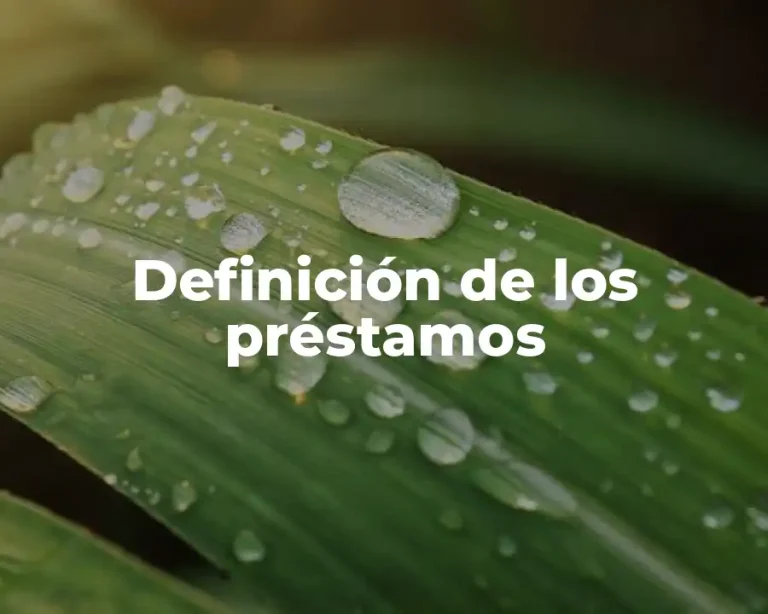 Definición de los préstamos