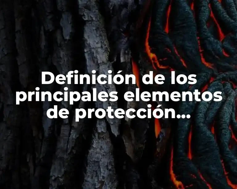 Definición de los principales elementos de protección informática