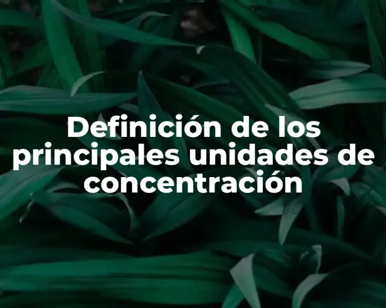 Definición de los principales unidades de concentración