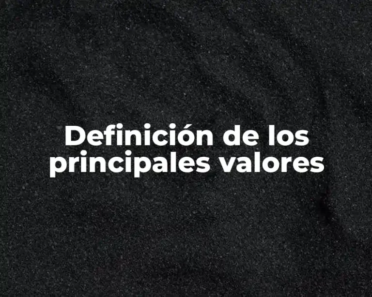 Definición de los principales valores