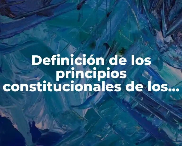 Definición de los principios constitucionales de los contribuyentes