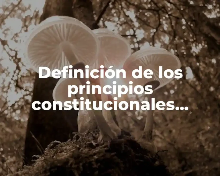 Definición de los principios constitucionales servidores públicos